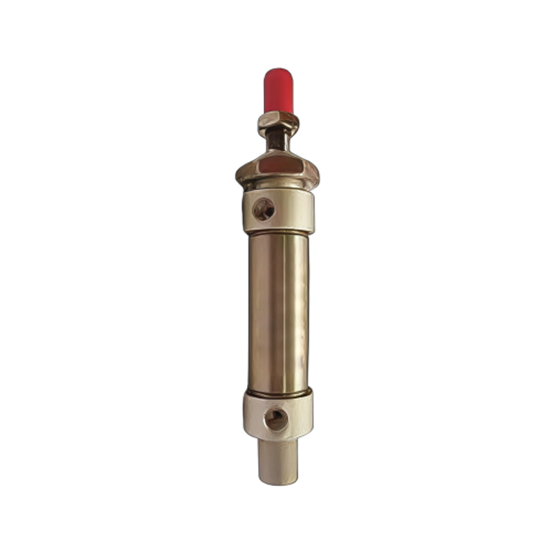 Techno Stainless Steel Type MS Cylinder 20 mm Bore 100 mm Stroke