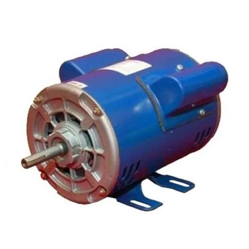 Crompton Single Phase 1 HP 2 Pole Foot Mounted Induction Motor, GF6829
