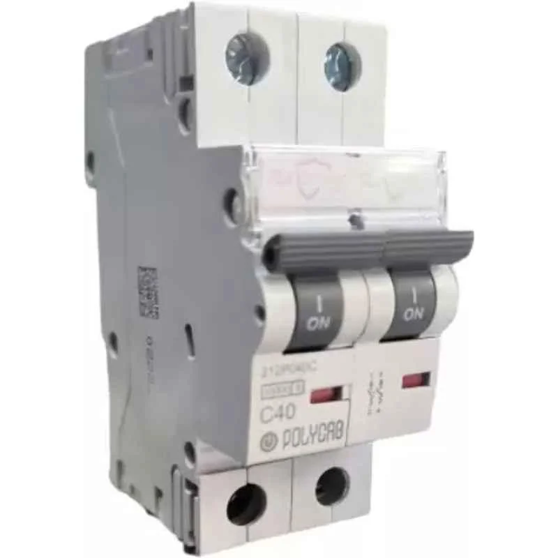 Polycab Polyshield 40A C Curve Double Pole MCB, GMM202P007