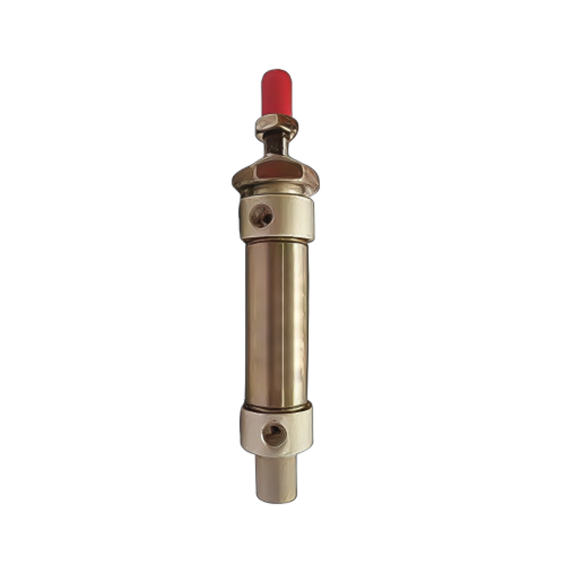 Techno Stainless Steel Type MS Cylinder 20 mm Bore 250 mm Stroke