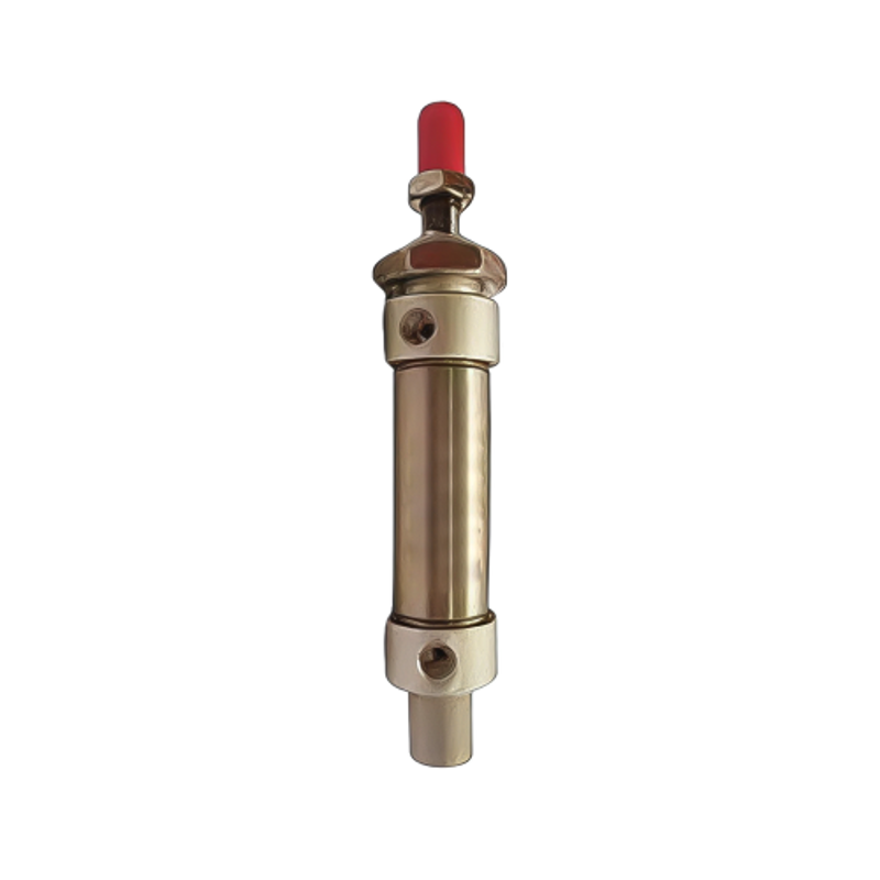 Techno Stainless Steel Type MS Cylinder 25 mm Bore 600 mm Stroke