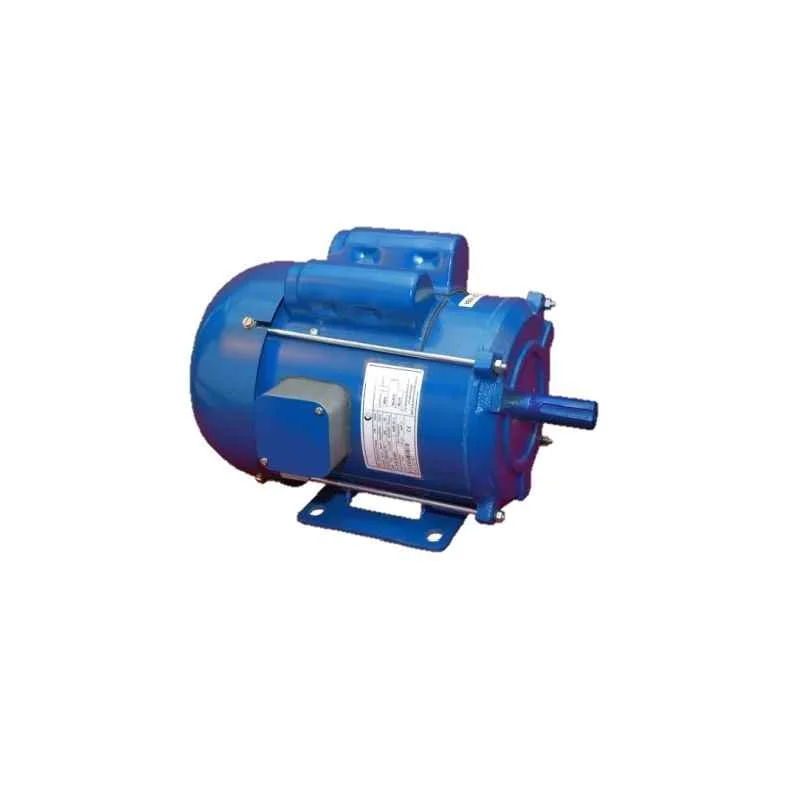 Crompton Millenium 2HP Single Phase 4 Pole Foot Mounted Induction Motor, GF 6834