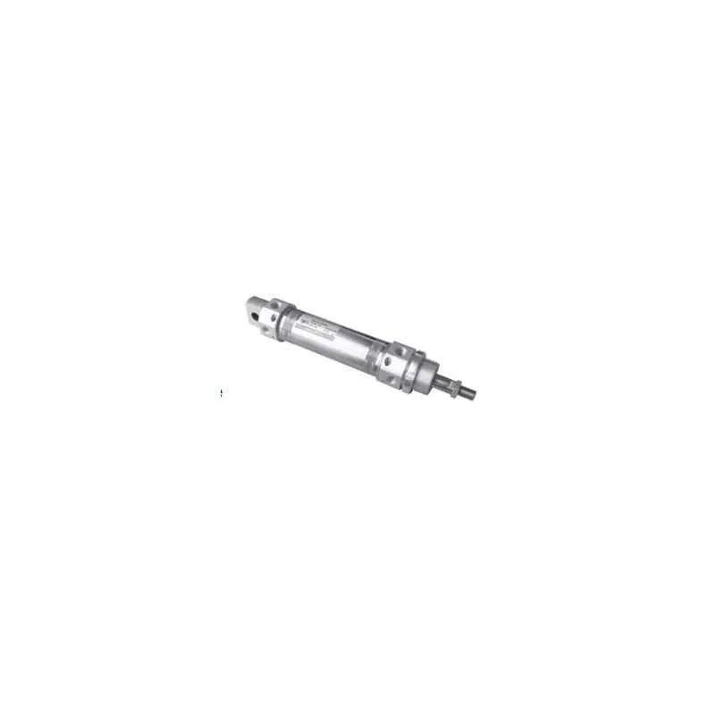 Janatics 32x100mm Magnetic Cylinder with Adjustable Cushion, A75032100