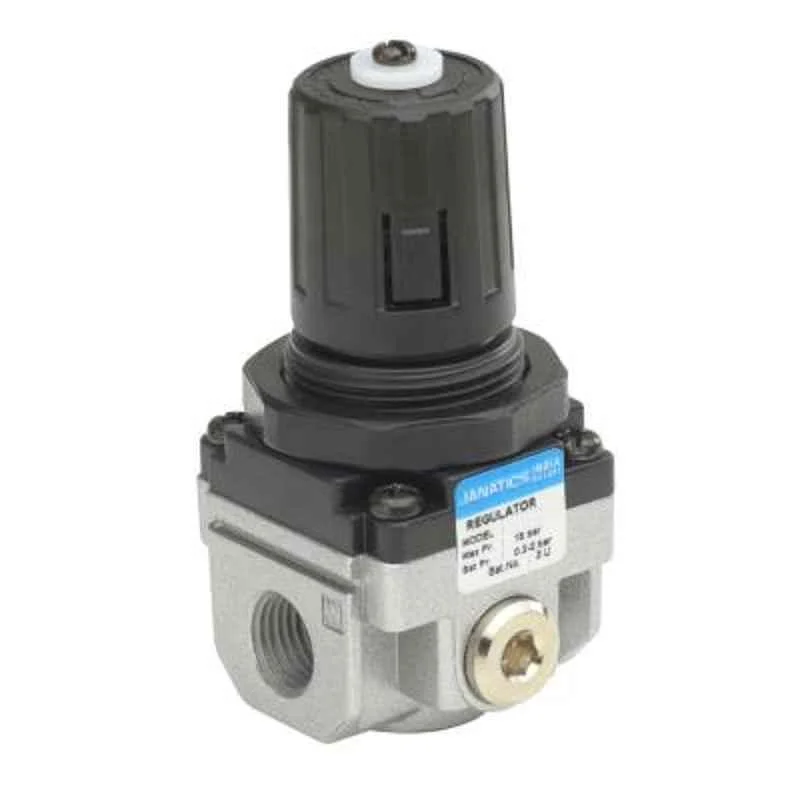 Janatics 1/4 inch Air Pressure Regulator, R13614