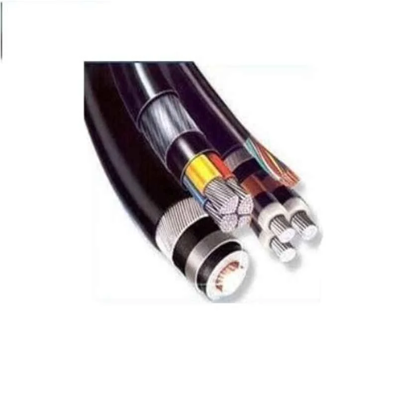 Polycab 2.5 Sqmm 2 Core Copper Conductor Armoured Power Cable, SISLV2X2.510076