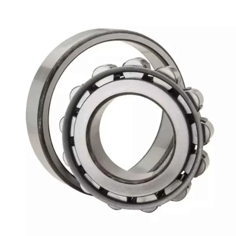 NTN N1020HSKC0NAP4 Single Row Cylindrical Roller Bearing 100x150x24 mm