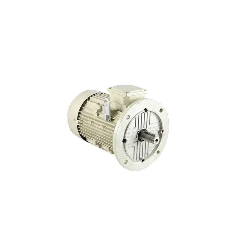 Bharat Bijlee 3HP 2 Pole AC Induction Motor, 2H09L273