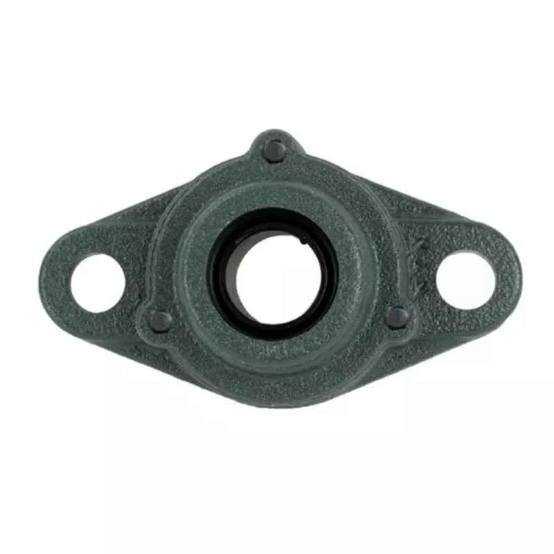 NTN 60x250x140mm Cast Iron 2-Bolt Rhombus Flanged Unit C-UCFL212D1