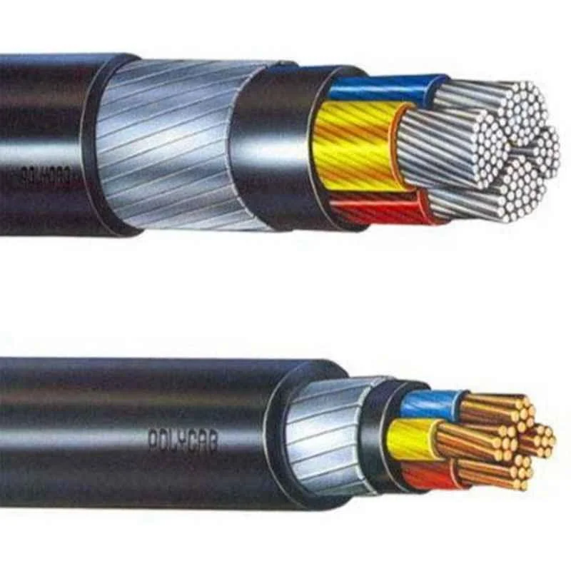 Polycab 10 Sqmm 2 Core Copper Conductor Unarmoured LT Power Cable, SISLV2X1010137