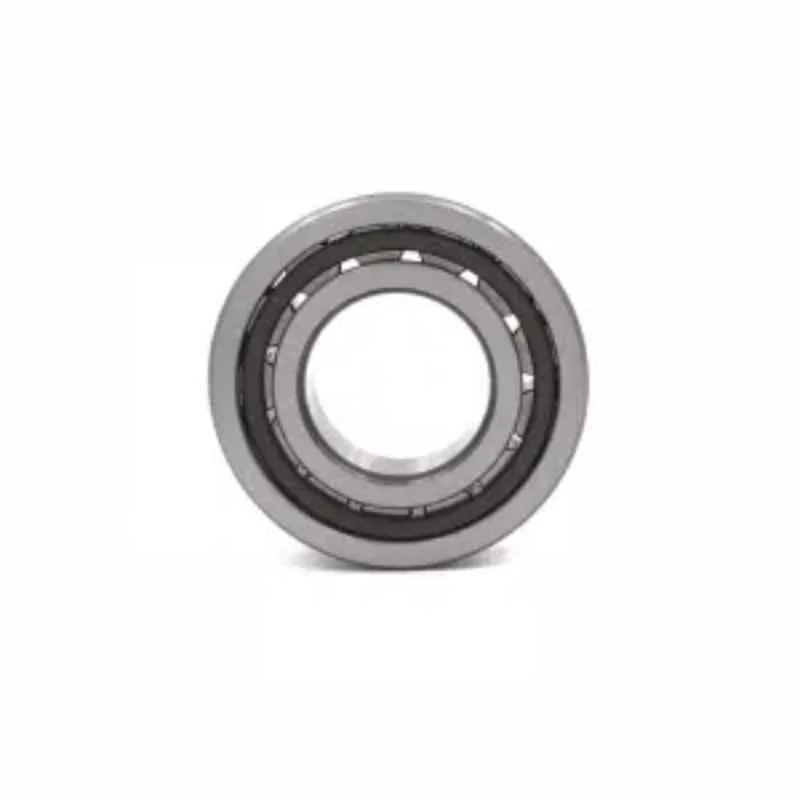 NTN N220 Single Row Cylindrical Roller Bearing 100x180x34 mm