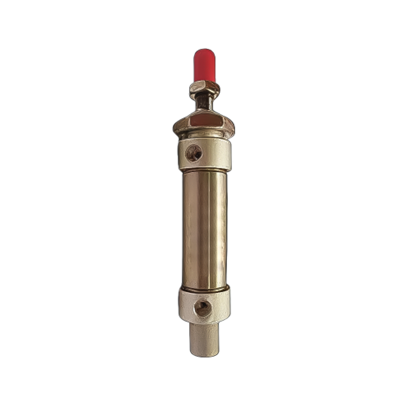 Techno Stainless Steel Type MS Cylinder 25 mm Bore 100 mm Stroke