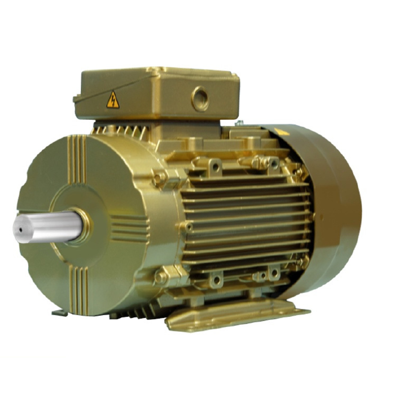 Crompton TEFC 7.5HP 8 Pole Slip Ring Induction Motor, NDW160L