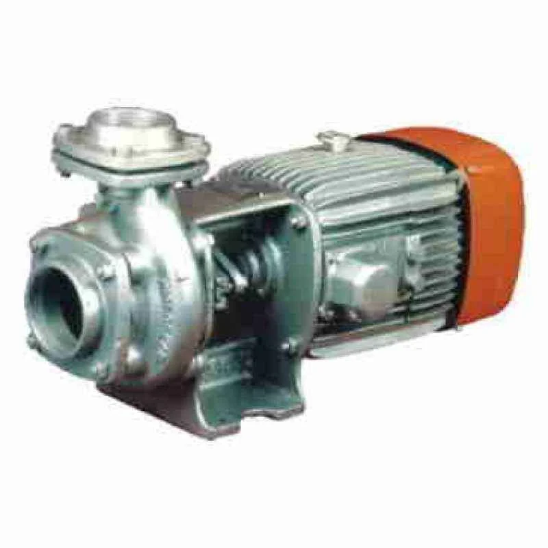 Kirloskar Eterna 3HP Swimming Pool Pump, KPP-2200