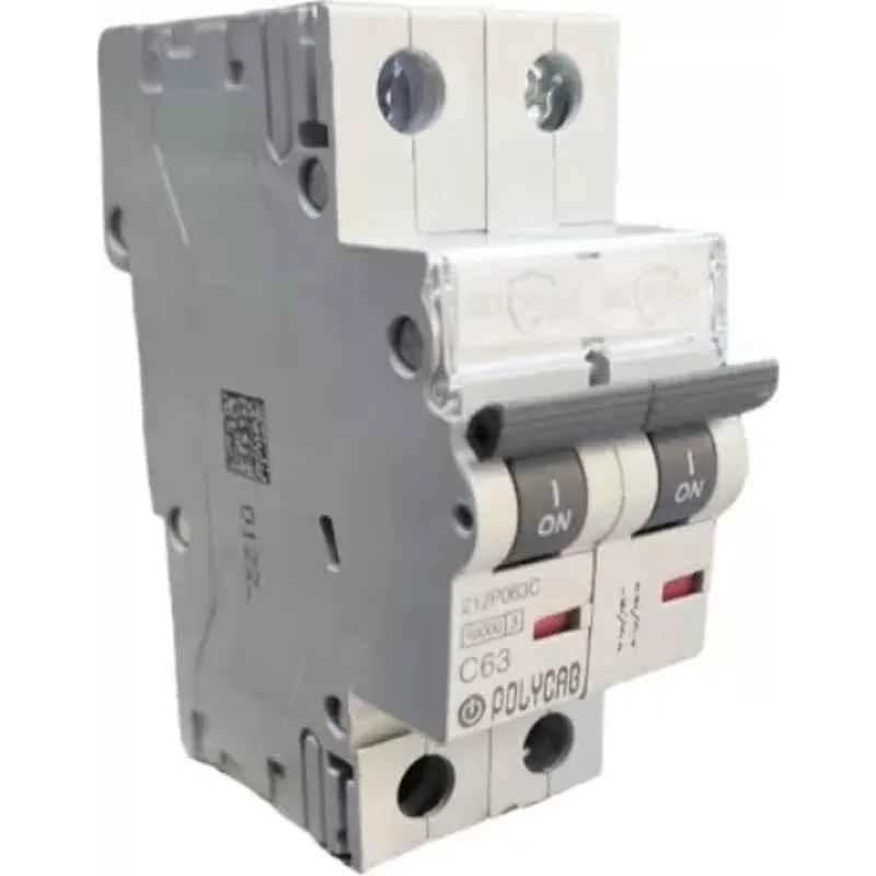 Polycab Polyshield 63A C Curve Double Pole MCB, GMM202P008