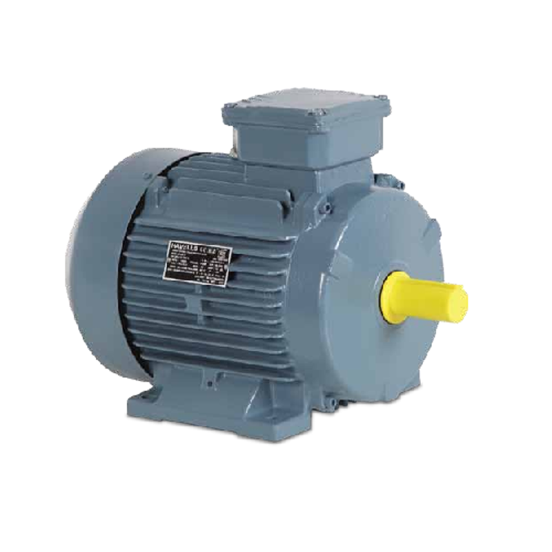 Havells 300HP Three Phase Double Pole Squirrel Cage Foot Mounted Induction Motor, MHCITYS20225