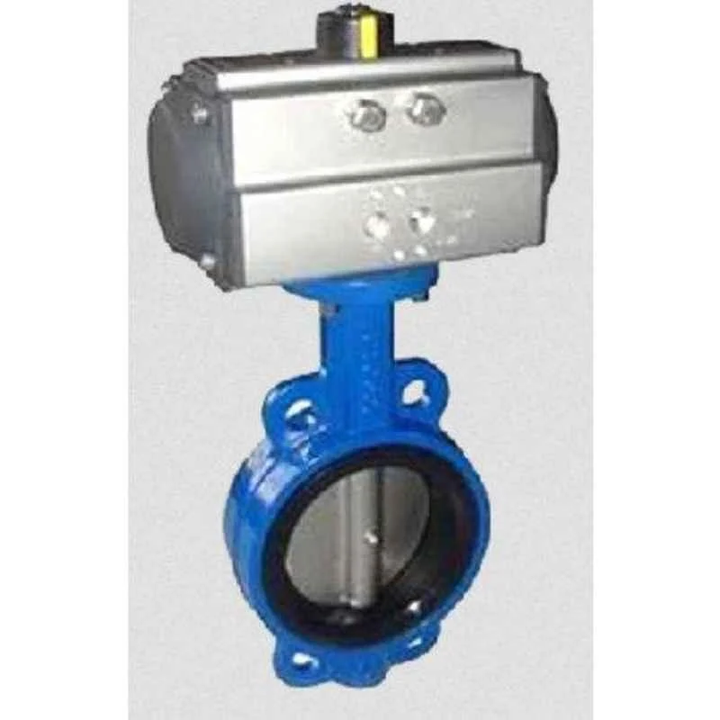 Phoenix 1-1/2 inch Cast Iron CF8M Actuator Operated Double Acting Butterfly Valve, ABFCI-40