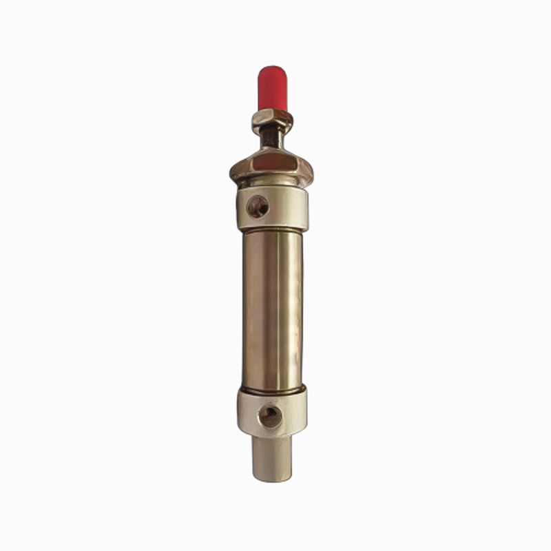 Techno Stainless Steel Type MS Cylinder 25 mm Bore 500 mm Stroke