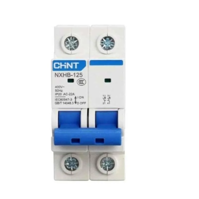 Chint NXHB-125 32A 2P Isolator, 193174