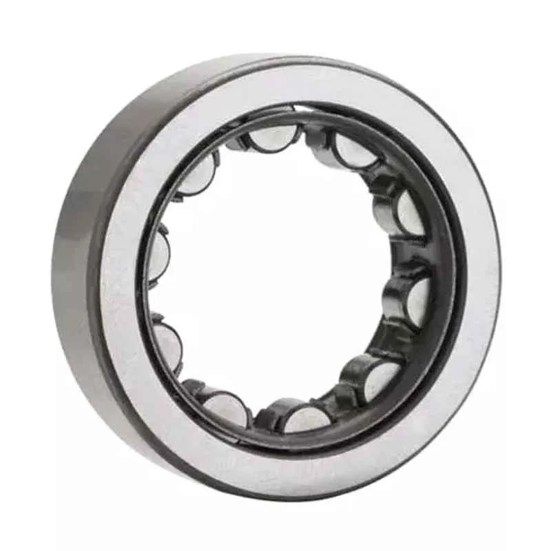 NTN NU1022G1C3 Single Row Cylindrical Roller Bearing, 110x170x28 mm